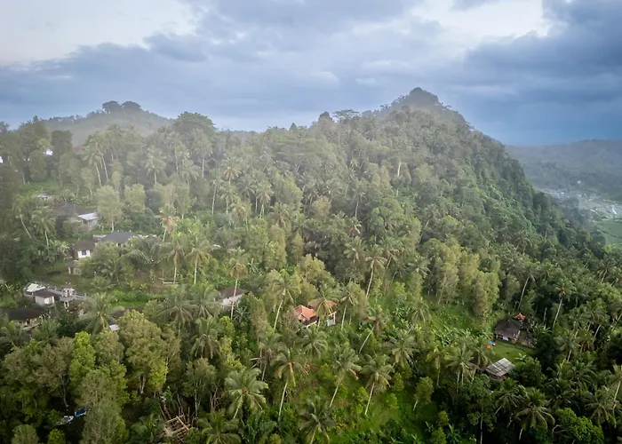 Cemara Hill By Samhita Bali * Silebeng