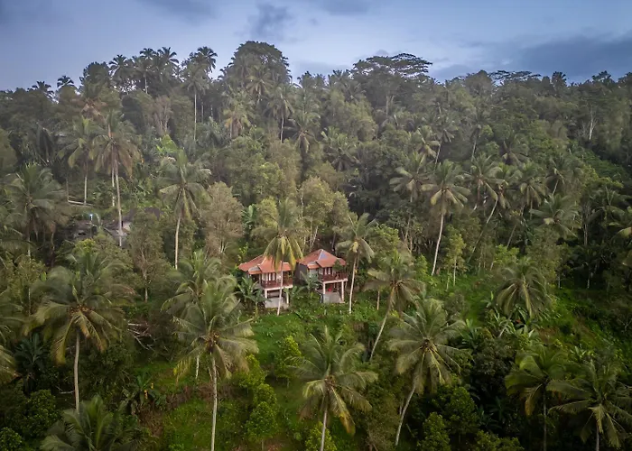 Cemara Hill By Samhita Bali Orman Evi *